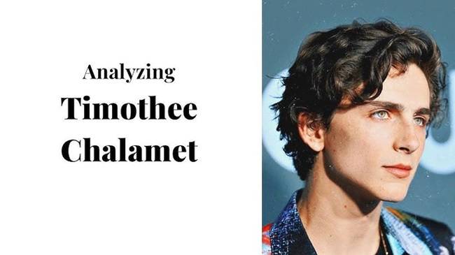 Timothée Chalamet Physical Features Analysis